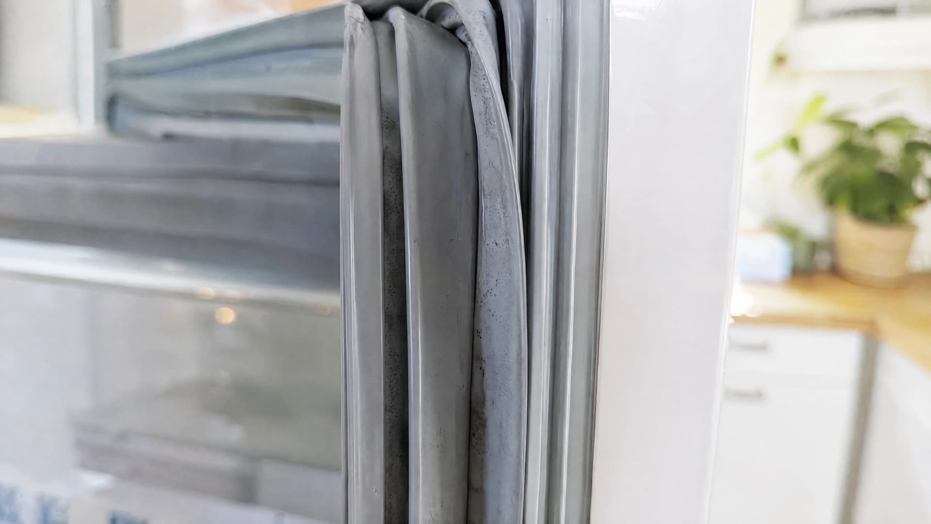 Close-up of grime trapped deep in the folded rubber door seal of an open refrigerator in a bright kitchen