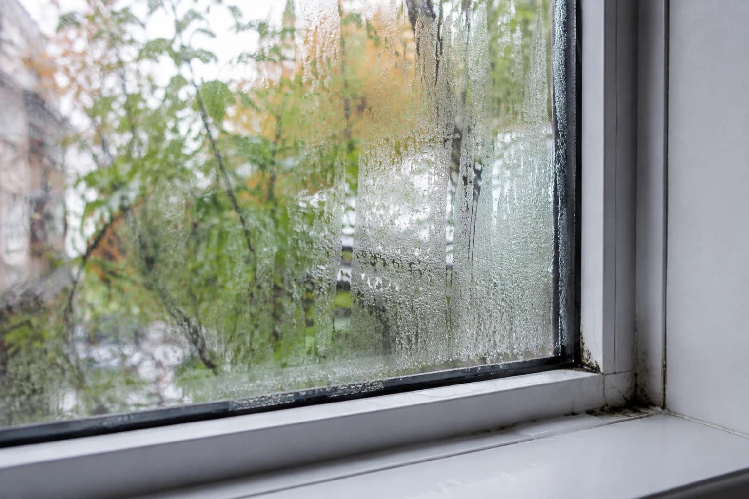 Condensation running down a Vancouver apartment window with mould starting where the glass meets the sill